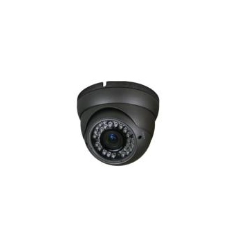 Camera Dome IP cu PoE/Audio